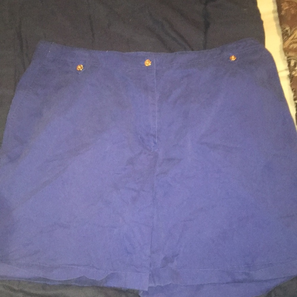 Blue Shorts - Picture 4 of 4